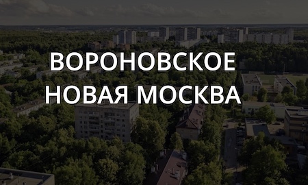 Вороновское новая москве